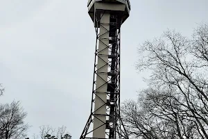 Hot Springs Mountain Tower image
