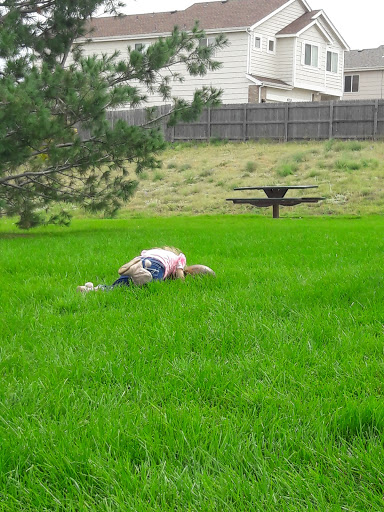 Park «Pring Ranch Park», reviews and photos, 5264 Prairie Grass Ln, Colorado Springs, CO 80922, USA