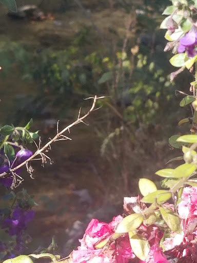 Amusement Park «Ober Gatlinburg», reviews and photos, 1001 Parkway #2, Gatlinburg, TN 37738, USA