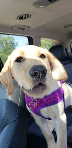 Pet Supply Store «PetSmart», reviews and photos, 5001 Sergeant Rd, Sioux City, IA 51106, USA