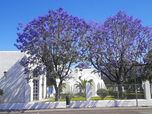 Santa Clara