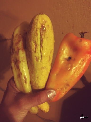 Non-Profit Organization «Food Bank For Larimer County», reviews and photos