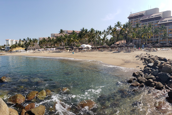 Bucecuas Nayarit