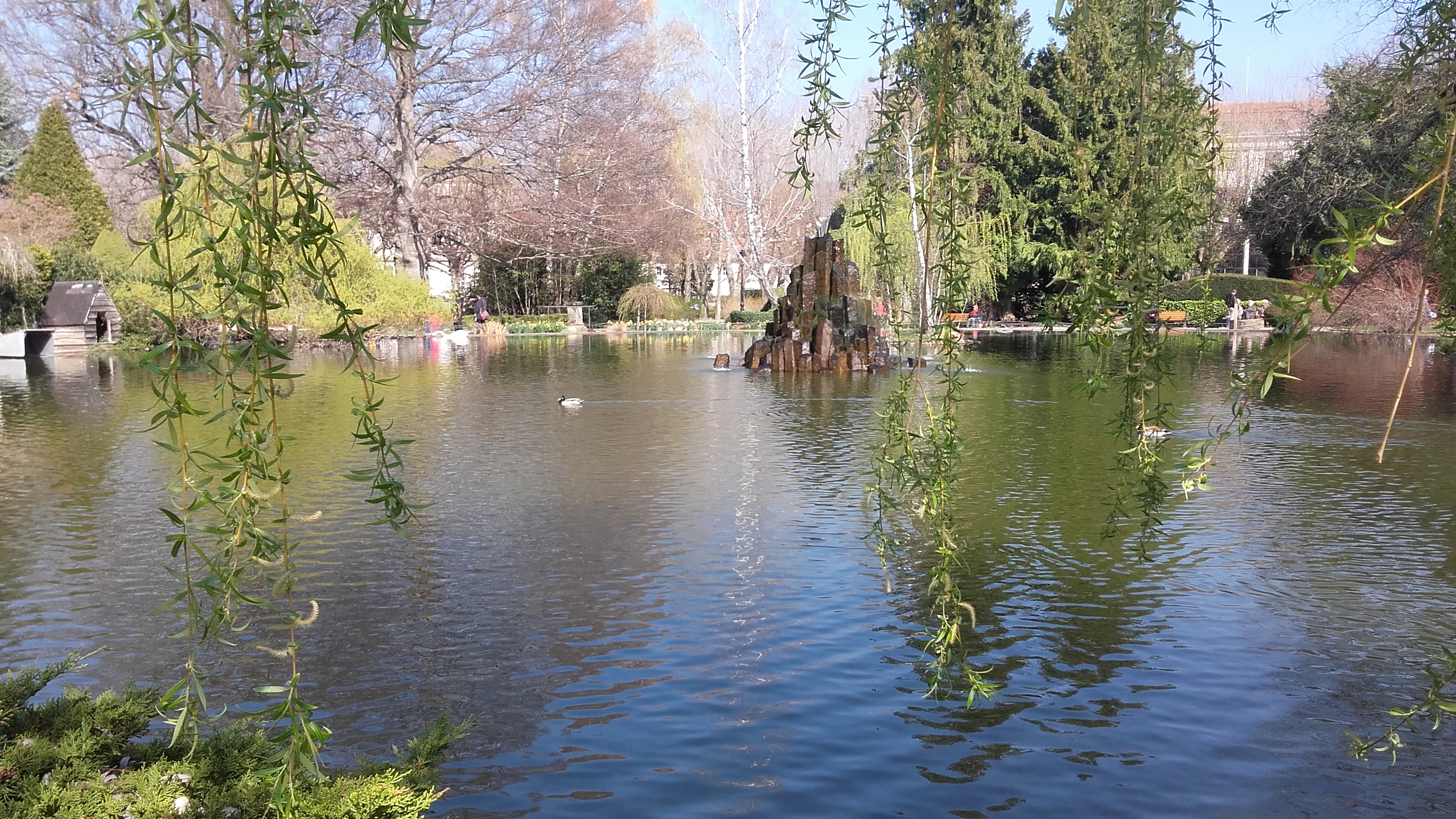 Photo n° 1 de l'avis de Stephanie.r fait le 13/04/2019 à 15:00