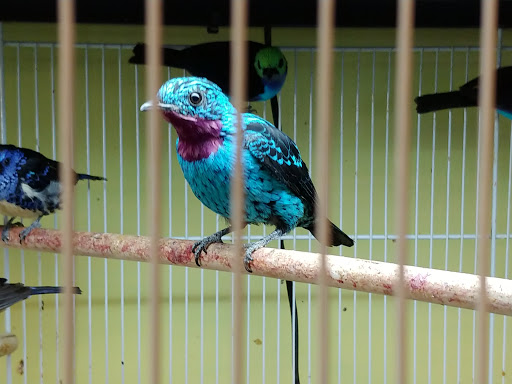 Amusement Center «OdySea in the Desert», reviews and photos, 9500 East Vía de Ventura, Scottsdale, AZ 85256, USA