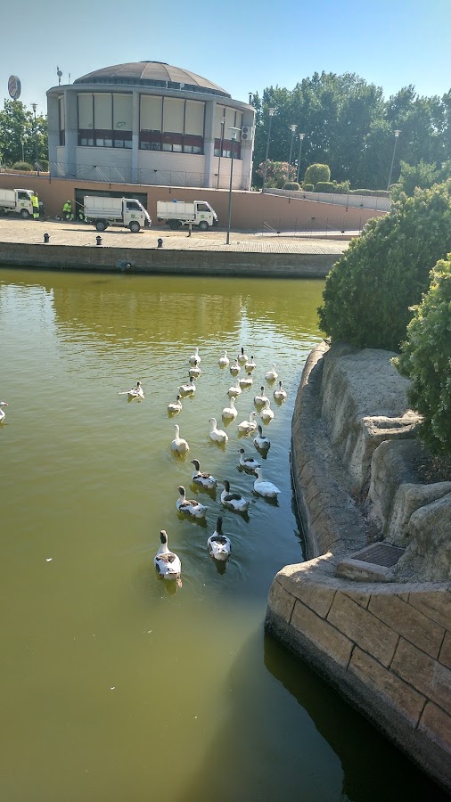 Parque Del Cespín