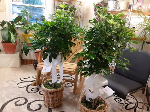 Florist «Cottage Flowers», reviews and photos, 170 Halsey Rd, Parsippany, NJ 07054, USA