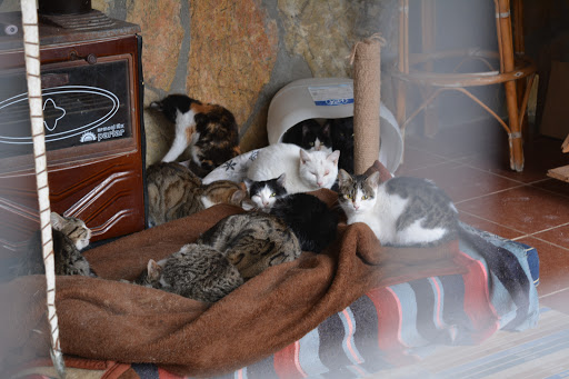 Belediye Hayvan Bakım Merkezi