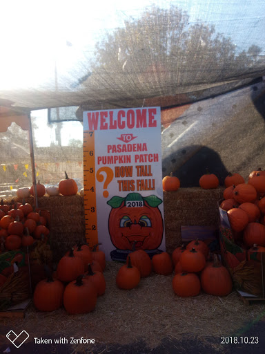 Pasadena Pumpkin Patch (Seasonal)