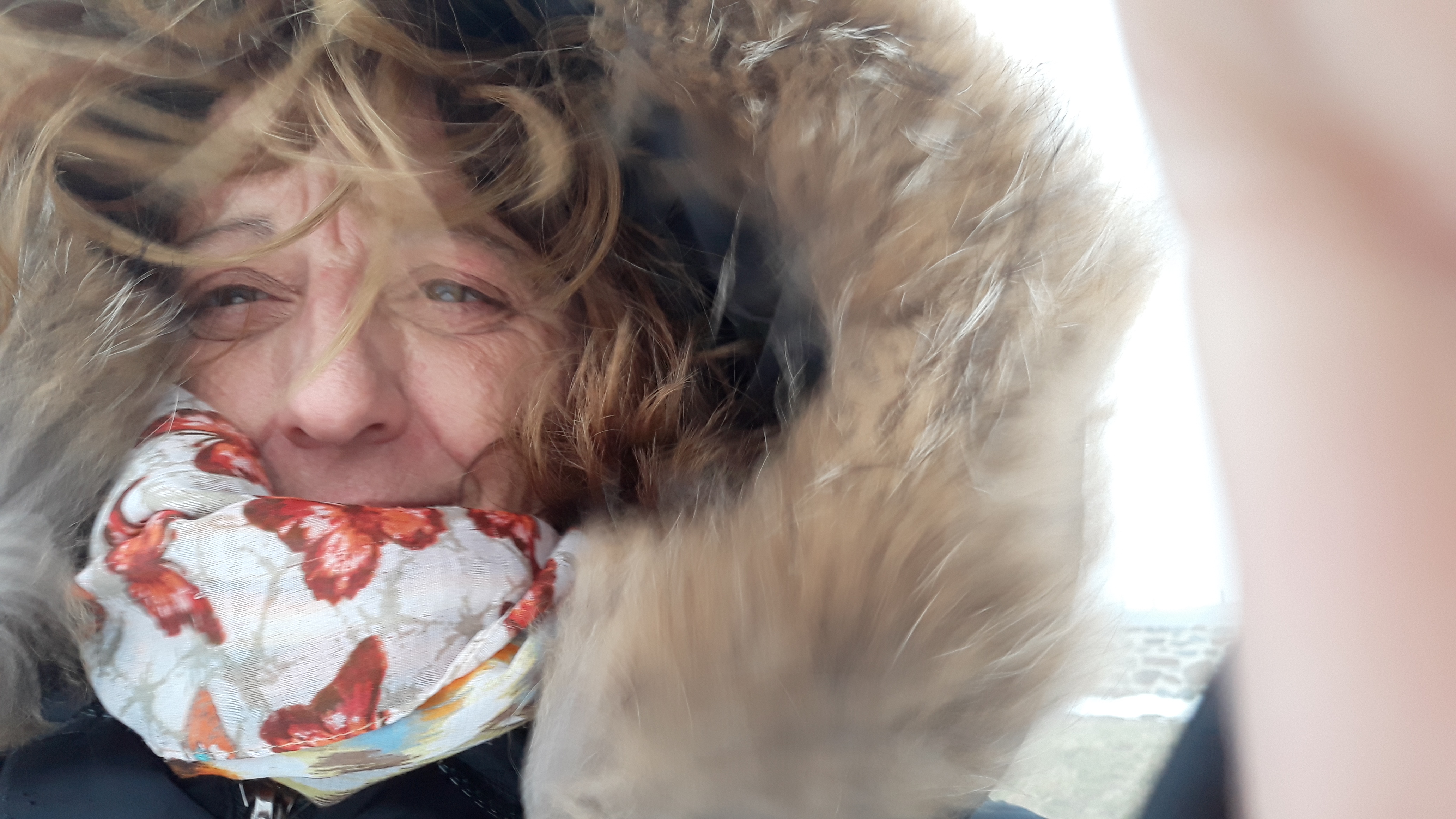 Photo n° 1 de l'avis de Véronique.a fait le 14/02/2019 à 14:54