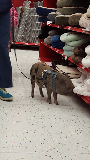 Pet Supply Store «Petco Animal Supplies», reviews and photos, 313 Homer M Adams Pkwy, Alton, IL 62002, USA