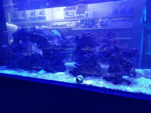 Tropical Fish Store «Aquatic Obsessions», reviews and photos, 1150 St George Ave, Avenel, NJ 07001, USA
