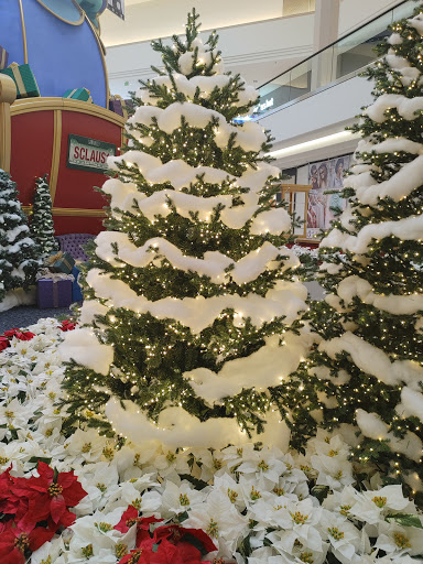 Shopping Mall «Sunvalley Shopping Center», reviews and photos, 1 Sun Valley Mall, Concord, CA 94520, USA