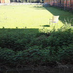 Photo n°6 de l'avis de emanuele.o fait le 23/04/2019 à 12:09 sur le  Casale La Sterpaia · Hotel à Pisa