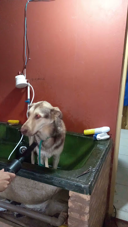 Veterinaria Caninos Nueva Italia