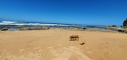 Foto von Castle Cove Beach mit geräumige küstenlinie