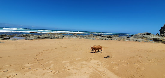 Castle Cove Beach