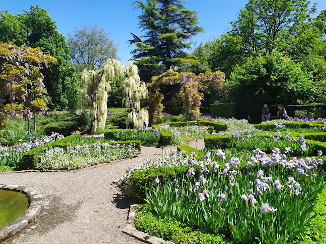 Rezensionen über Belvoirpark in Zürich - Kulturzentrum