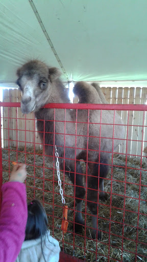 Produce Market «Didier Farms», reviews and photos, 16678 Aptakisic Rd, Lincolnshire, IL 60069, USA