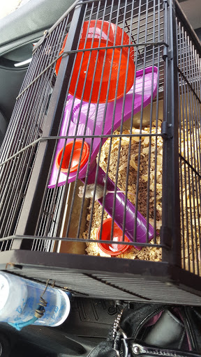 Pet Store «Pet Planet», reviews and photos, 200 1/2 Lane Parkway, Shelbyville, TN 37160, USA