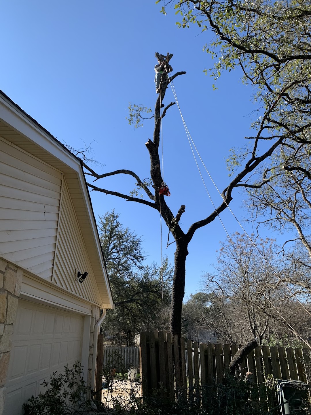 M.Martinez lawn service