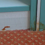 Photo n°1 de l'avis de Rainer.a fait le 15/07/2018 à 14:51 sur le  Parkhotel Senftenberg à Senftenberg