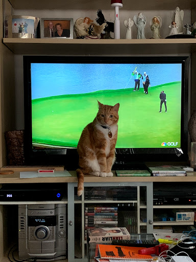 Pet Supply Store «PetSmart», reviews and photos, 1297 Promenade Pl, Eagan, MN 55121, USA