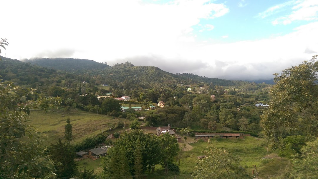 Piqueteadero Mónaco