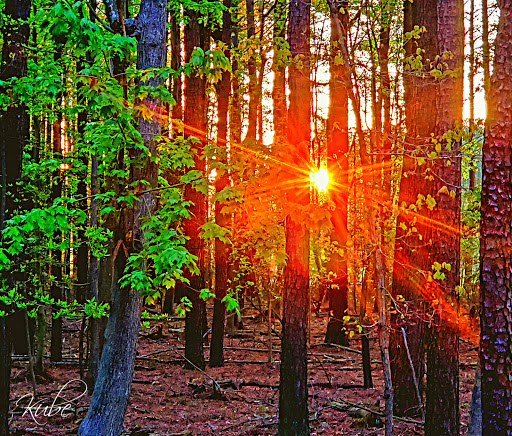 Golf Club «Peninsula Golf & Country Club», reviews and photos, 32981 Peninsula Esplanade, Millsboro, DE 19966, USA