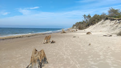Cholpin Beach'in fotoğrafı çok temiz temizlik seviyesi ile