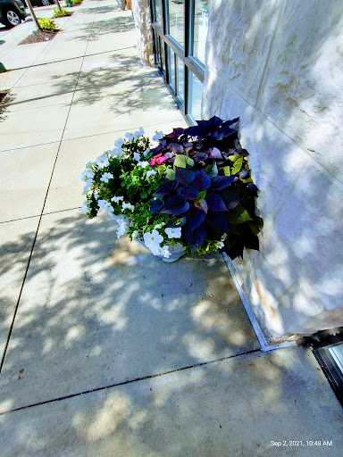 Hair Salon «Ulta Beauty», reviews and photos, 105 West Bridge St, Homestead, PA 15160, USA