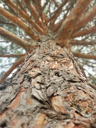 Park «Boom Island Park», reviews and photos, 724 Sibley St NE, Minneapolis, MN 55413, USA