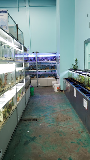 Pet Store «Animart», reviews and photos, 4303 E Towne Way, Madison, WI 53704, USA