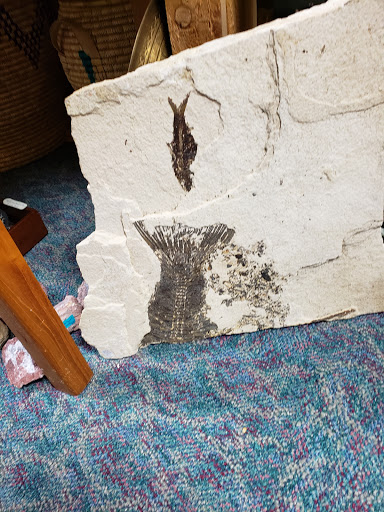 Rock Shop «Prospectors Crystals, Rocks & Gift Shop», reviews and photos, 1640 Gravois Rd, High Ridge, MO 63049, USA