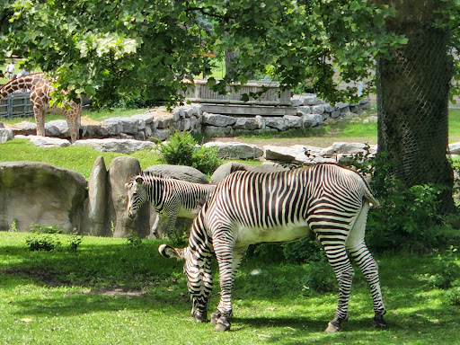Zoo «Detroit Zoo», reviews and photos, 8450 W 10 Mile Rd, Royal Oak, MI 48067, USA