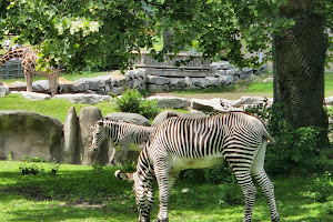 Detroit Zoo