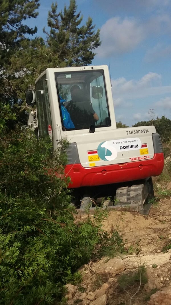 Imagen de Transportes Dominius (11 de 13)
