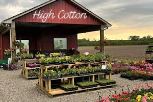 High Cotton Farms image