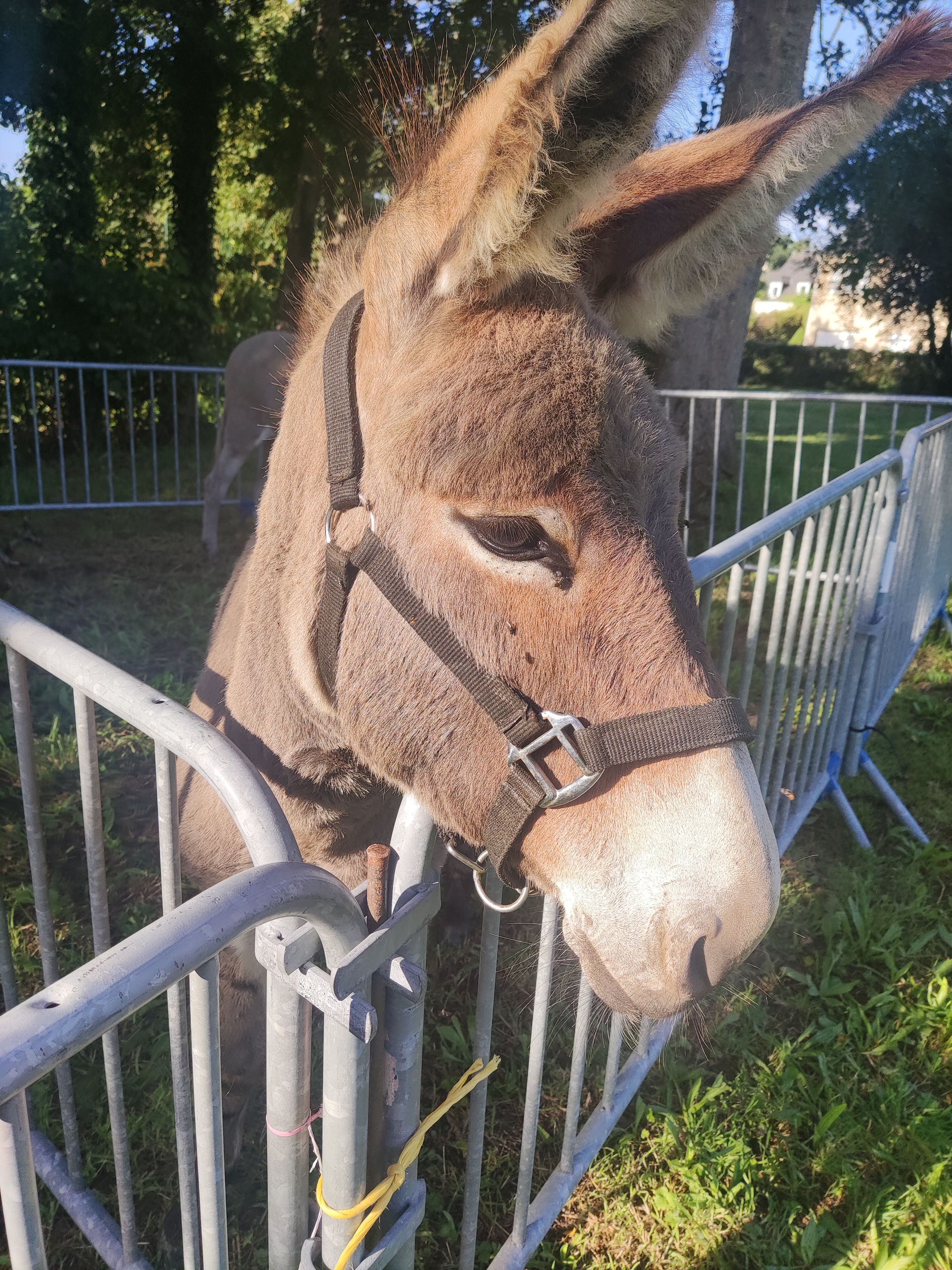 Photo n° 1 de l'avis de Christian.r fait le 01/09/2018 à 13:46