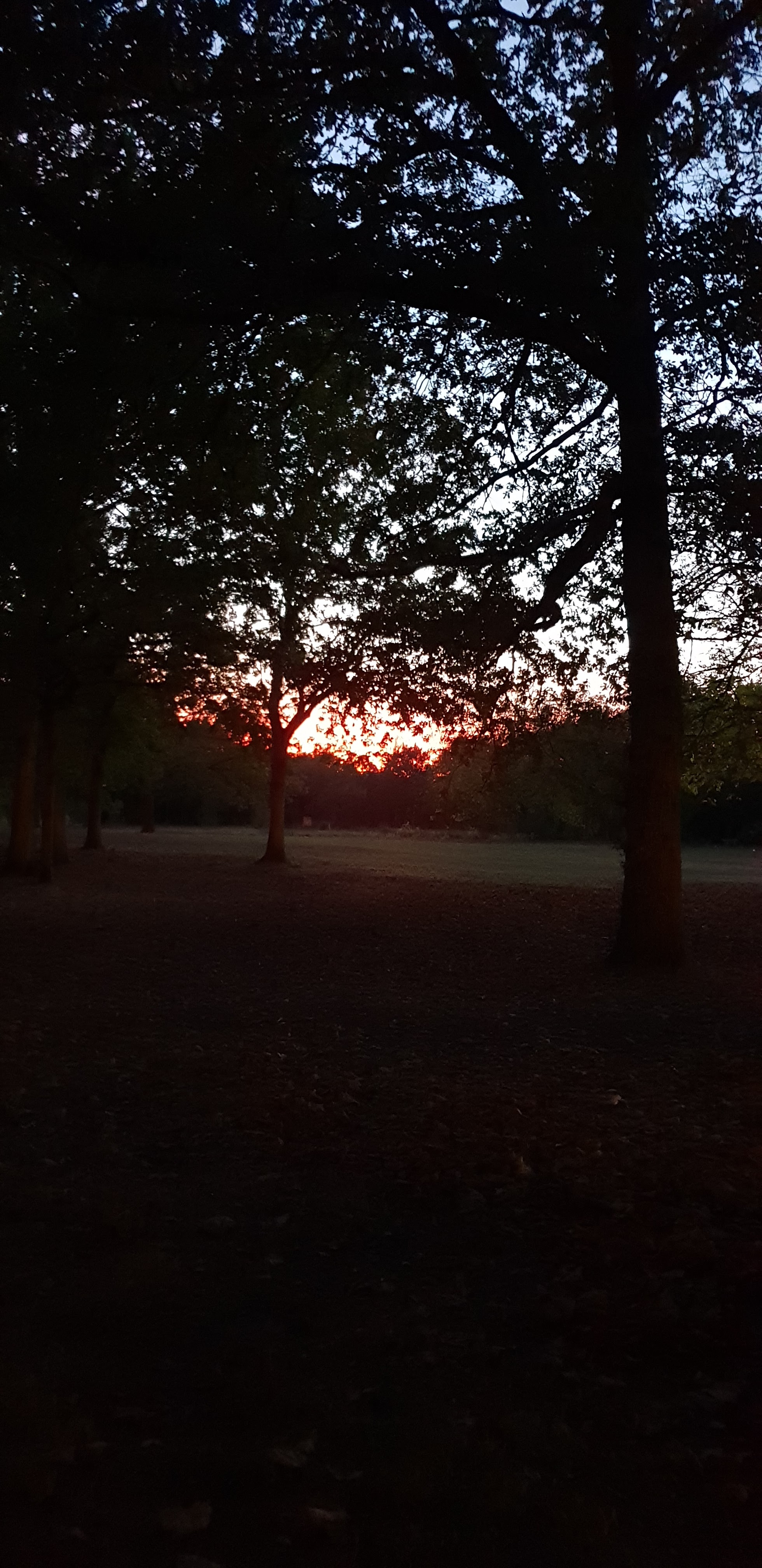 Photo n° 2 de l'avis de Bouchra.a fait le 23/10/2018 à 19:17