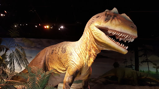 Imax Theater «PACCAR IMAX Theater», reviews and photos, 200 2nd Ave N, Seattle, WA 98109, USA