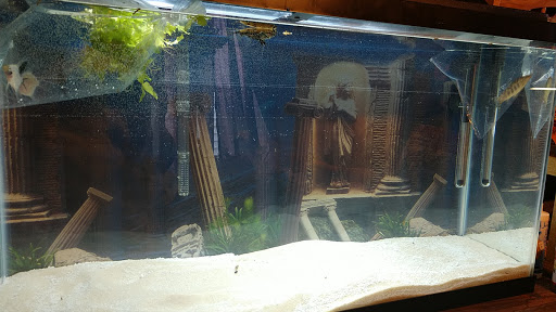 Pet Supply Store «Jim Thorpe Pet Center», reviews and photos, 1592 Center Ave, Jim Thorpe, PA 18229, USA