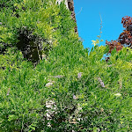 Photo n°33 de l'avis de Diana. fait le 10/07/2023 à 13:19 sur le  B&B Le Querce à Bruciato