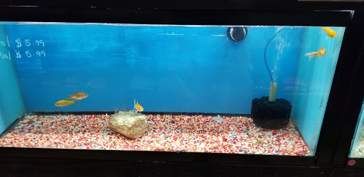 Tropical Fish Store «Caribbean Pets», reviews and photos, 298 Central Ave, Jersey City, NJ 07307, USA