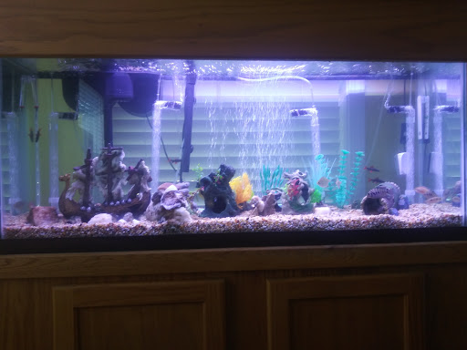 Pet Supply Store «Pet Supplies Plus», reviews and photos, 2823 Midway Rd SE, Bolivia, NC 28422, USA