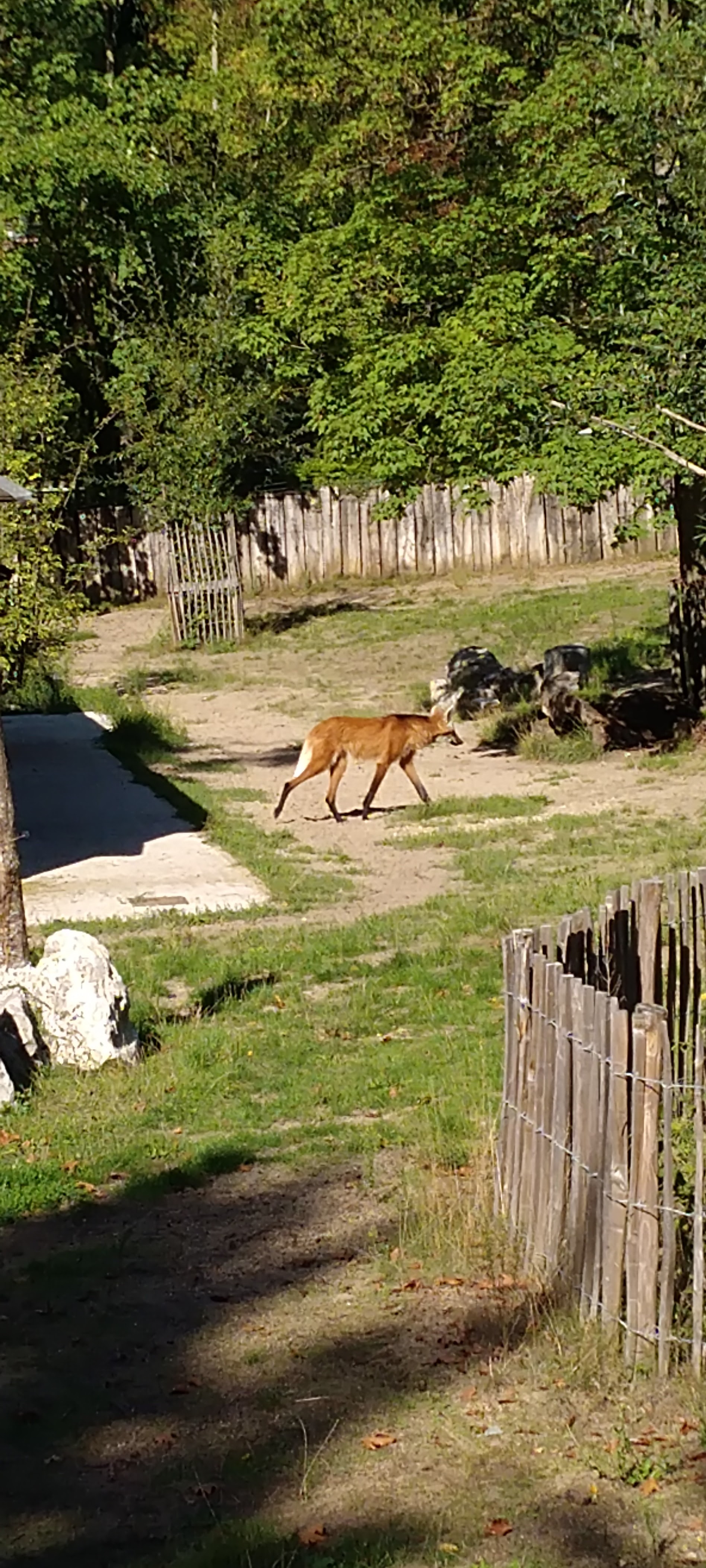 Photo n° 8 de l'avis de Bernard.e fait le 12/09/2022 à 09:16