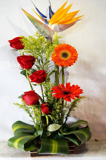 floreria blanquitas – Centro