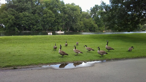 Park «Lake Front Park», reviews and photos, 23000 Jefferson Ave, St Clair Shores, MI 48080, USA