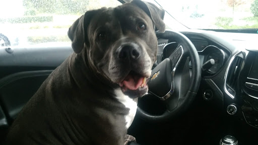 Richmond Veterinary Clinic, Inc. image