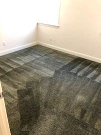 Captain Carpet Care - Cleaning and Restoration Walnut Creek CA - Photo 2 - Car repair in Walnut Creek, CA, Concord